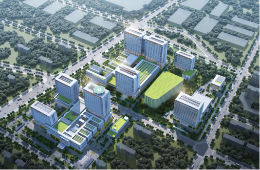 北京大学人民医院青岛医院跑出国家区域医疗中心建设“加速度”