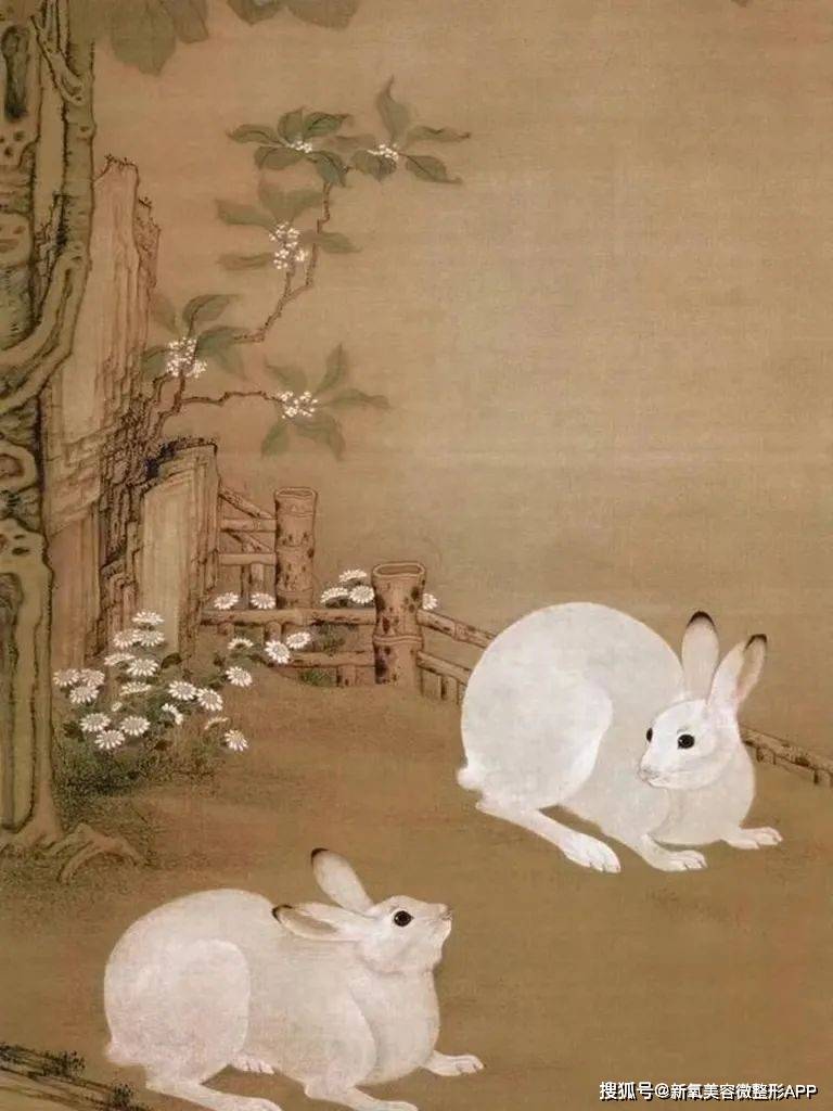中国人的兔纹审美：兔子陪伴人类竟然已经3w多年了？
