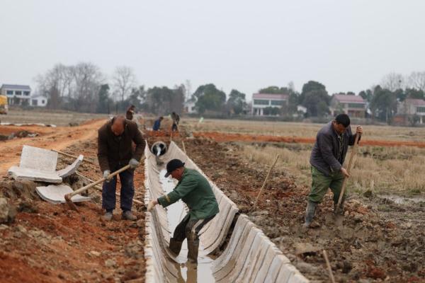 湖南益阳：2022年高标准农田建设项目开展