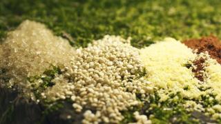 松花粉：森林中的“黄金”，它的3个营养作用你知道吗？