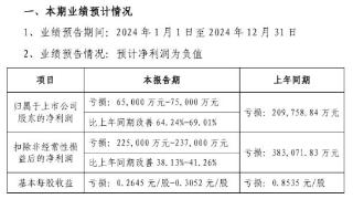 天马微电子：预计 2024 年亏损 6.5 亿元-7.5 亿元