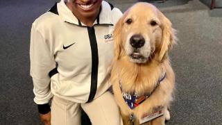 美国体操队带治疗犬参加奥运会：金毛猎犬当“心理医生” 最多每天工作15小时