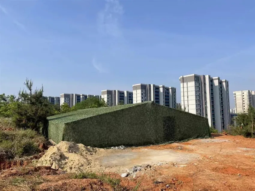 迷彩网掩盖不了“种房”行为，长江新区依法拆除360平方米违建