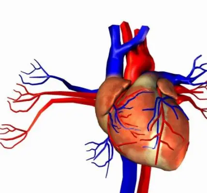 心血管造影会对身体有伤害吗？