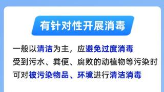 暴雨洪涝后，个人健康防护这样做！