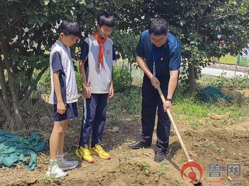 枣庄市薛城区临城实验小学开展“走进劳动基地”实践活动