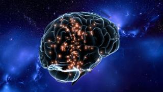 宇宙和大脑的自相似性，是否意味着：宇宙具备思维能力？