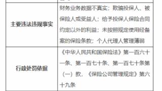 因欺骗投保人等，平安人寿宁波分公司被罚78万元