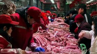 欧洲猪肉界噩梦来了？反制裁开始，商务部立案调查，欧盟后悔已晚