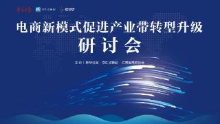 南京信息工程大学丁宏：电商新模式助力需求端拉动供给端，促进特色产业集群高质量发展