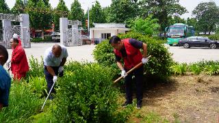 “植”此青绿——山东省地矿局五院开展种草添绿志愿活动