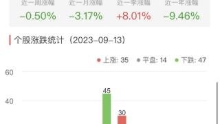 房地产开发板块涨0.07% 中国武夷涨9.97%居首