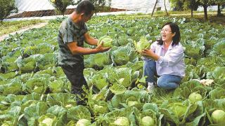 三产融合 富农探索