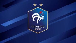 2024欧洲杯前瞻之D组-法国队