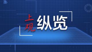 巴基斯坦学者：在中国看到“持续发展前进的动力”