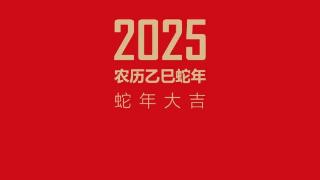 蛇年伊始 万象更新 | 王永顺2025精品日历