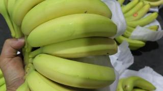 不再是第一！菲律宾香蕉对华出口锐减