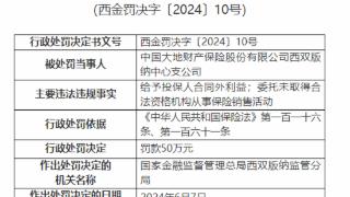 因给予投保人合同外利益，大地财险西双版纳支公司被罚50万元