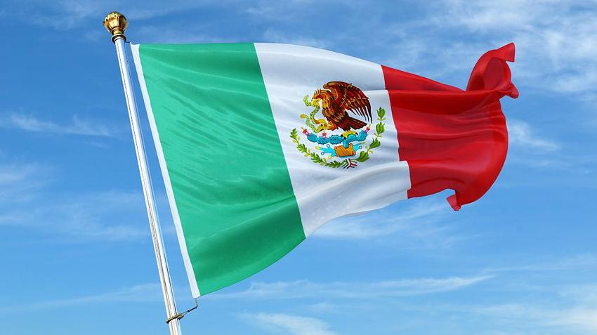 墨西哥参议院批准对选举机构的改革，反对者称此举将削弱民主