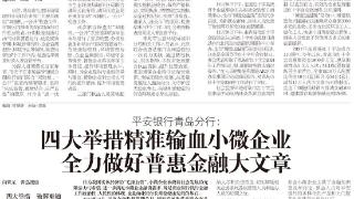 发放价值两万多元家庭温暖箱！青岛举办全国首个红十字社会监督日