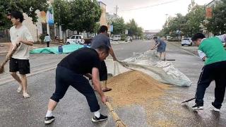 “沂蒙义警”雨中抢收麦子暖民心