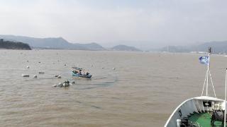 惊险！渔船闽江口遇险翻沉，2名遇险人员全部获救
