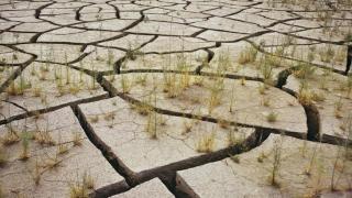 非洲南部遭遇百年不遇干旱，颗粒无收