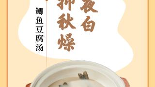 味蕾上的江苏·本土美食志 日历 | 鲫鱼豆腐汤：露从今夜白，鲜汤抑秋燥