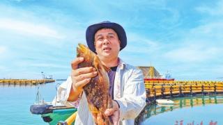 连江100多万尾石斑鱼陆续上市