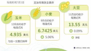 （图表）［财经·行情］芝加哥农产品期价7月5日持平或上涨