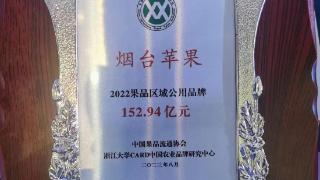 连续14年蝉联第一！烟台苹果品牌价值达到152.94亿元