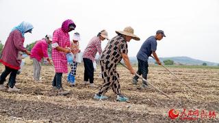 吉林农业科技学院全力以赴助舒兰灾后农田重建、作物生产恢复