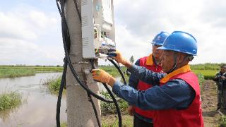 国网长春供电公司：奋战在榆树灾后重建一线