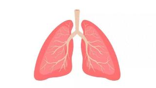 你的肺健康吗？这些伤肺行为你做了几个？做好预防，远离肺部疾病