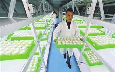 贵州凤冈：“以虫治虫”助力绿色农业发展