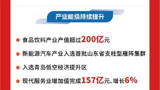 一图读懂|2025年莱西市政府工作报告