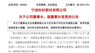 杉杉董事长突然换人，曾是电视台主播的80后继母上位