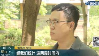 上海一小区20多只猫狗离奇死亡疑似有人楼下投毒？警方已介入