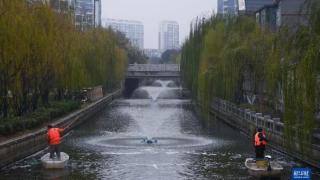 湖州：龙泉街道整改沿河游步道