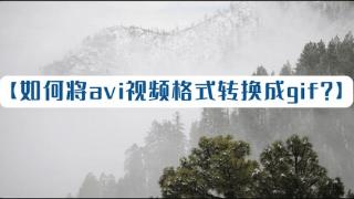 3种可以将avi格式的视频转成gif动图的方法