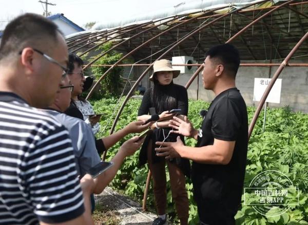 稻花香里说丰年｜长白山腹地的这座城，“丰”景藏不住了