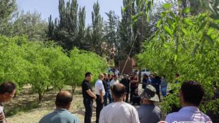 新疆若羌：红枣夏季管护培训 助力枣农增产增收