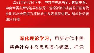 学习·知行丨主题教育融媒体策划 抓好第一批、第二批主题教育的衔接联动 习近平提出这些要求