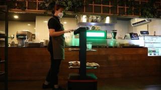 外媒：韩国餐饮服务机器人，七成由中国制造