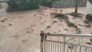 蓝田突降暴雨 蓝桥镇政府：正在启动应急预案 能下村救援的全下村了