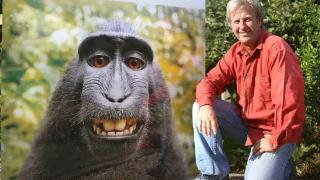 猴子自拍照版权归猴子？美国动物组织替猴子起诉摄影师，争夺版权
