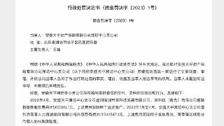 因编制提供虚假的文件等，安盛天平财险潍坊中支被罚27万元