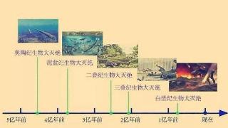 地球上曾发生5次生物大灭绝，什么原因导致的？人类在制造第6次？