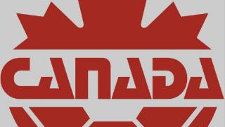 CBC：偷拍对手训练的加拿大女足分析师被判8个月缓刑