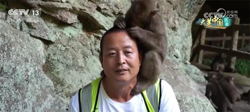 武夷山国家公园为藏酋猴们提供舒适的生存家园